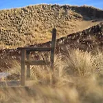 Im Haus Nordland App 59 Westerland